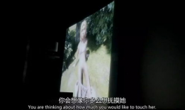 做爱的视频,探索激情与爱情的视觉之旅