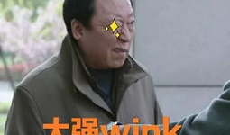 男女考比视频,揭秘男女考生差异