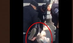 视频截图,一瞥瞬间，洞悉全局