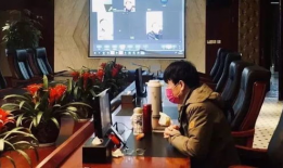 开会视频,视频会议内容概览